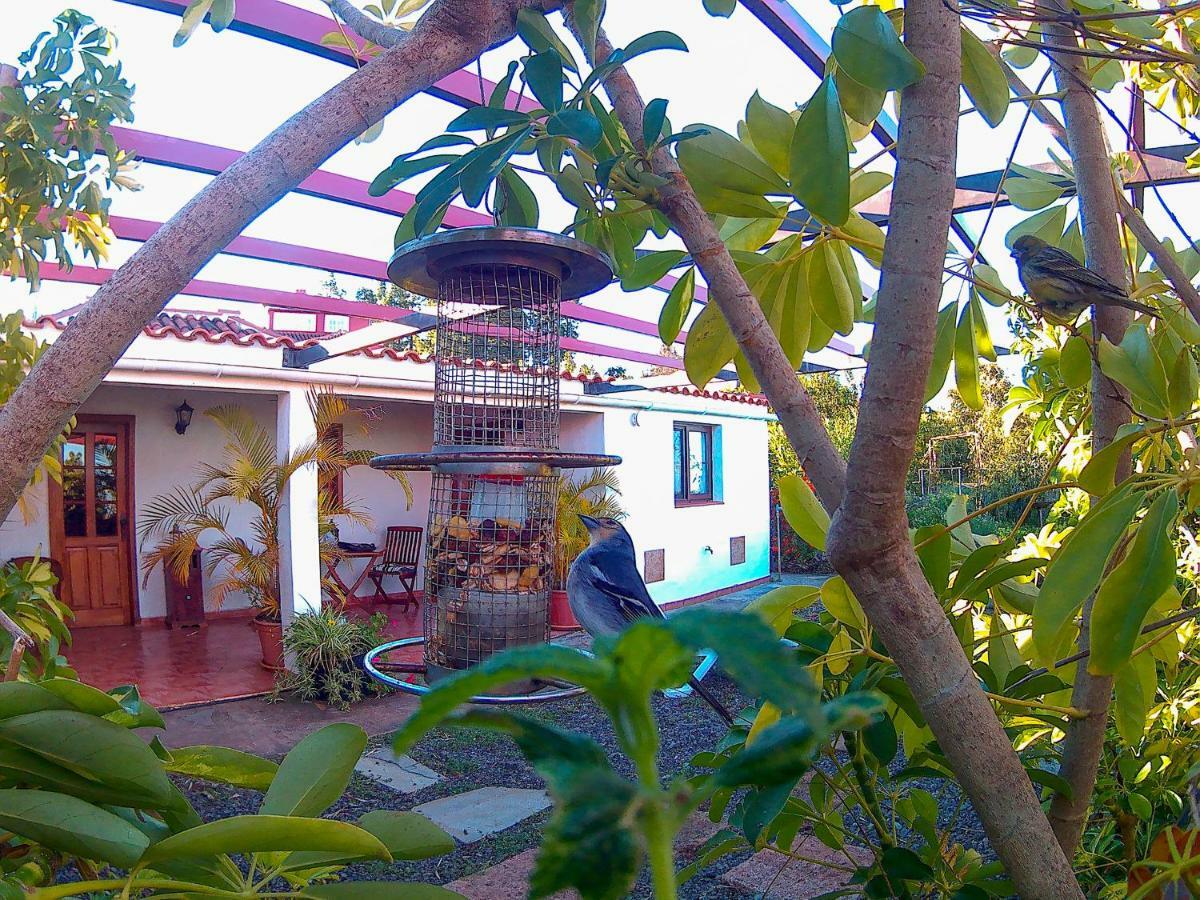 La Casa De La Cartita Villa Puntagorda  Luaran gambar